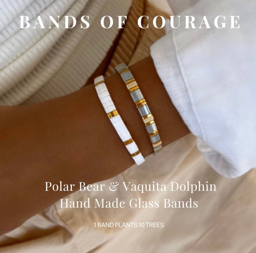 Bracelets Bands of Courage | Vaquita Dolphins