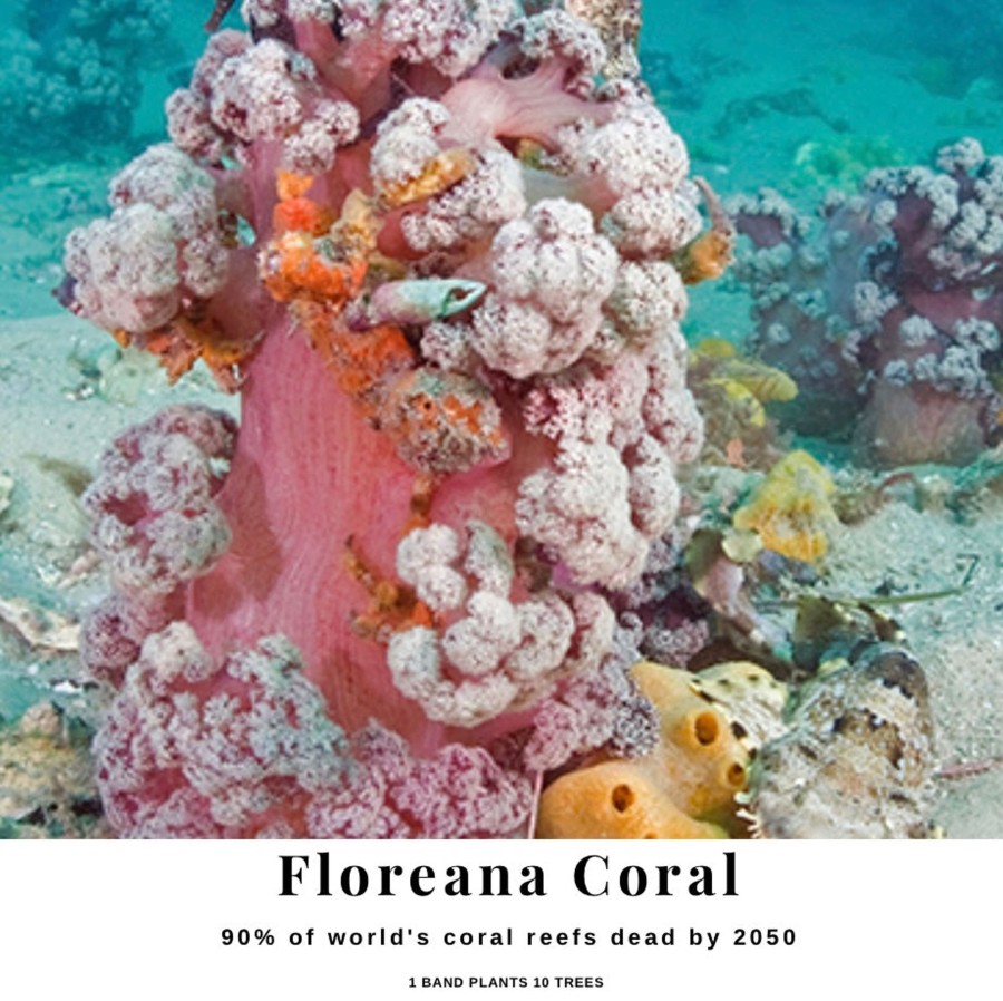 Bracelets Bands of Courage | Floreana Coral Reef Stack